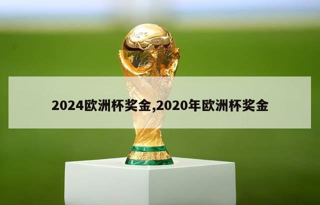 2024欧洲杯奖金,2020年欧洲杯奖金