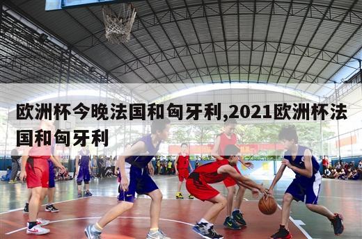 欧洲杯今晚法国和匈牙利,2021欧洲杯法国和匈牙利