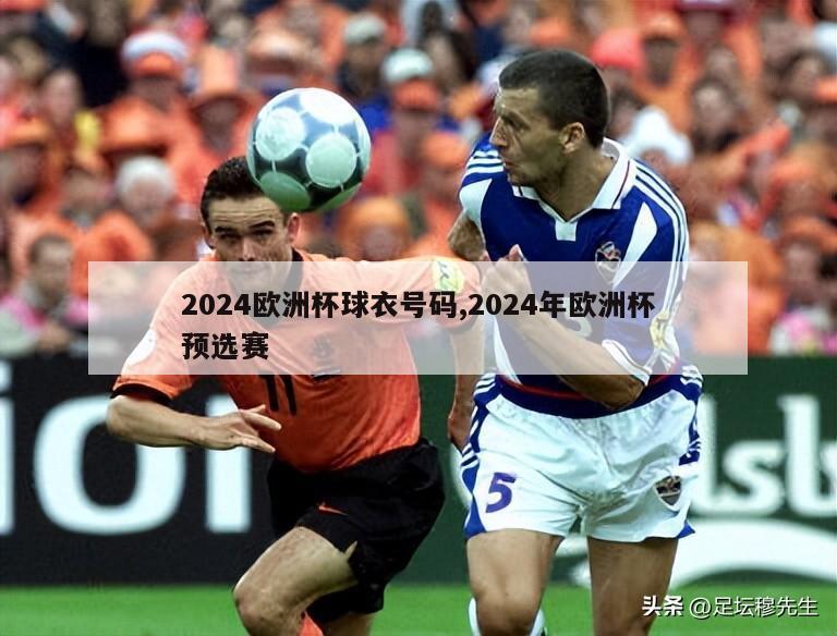 2024欧洲杯球衣号码,2024年欧洲杯预选赛