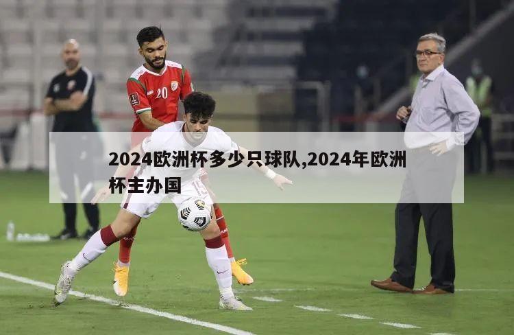 2024欧洲杯多少只球队,2024年欧洲杯主办国