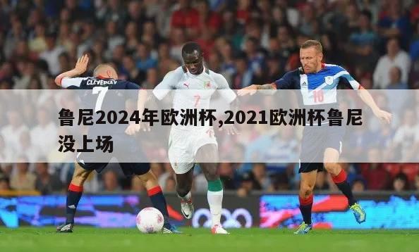 鲁尼2024年欧洲杯,2021欧洲杯鲁尼没上场