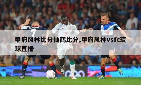 甲府风林比分仙鹤比分,甲府风林vsfc琉球直播